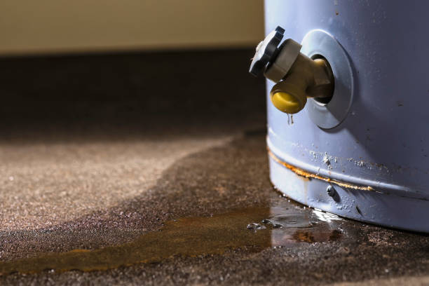 Best Residential water damage restoration  in Waverly, MI