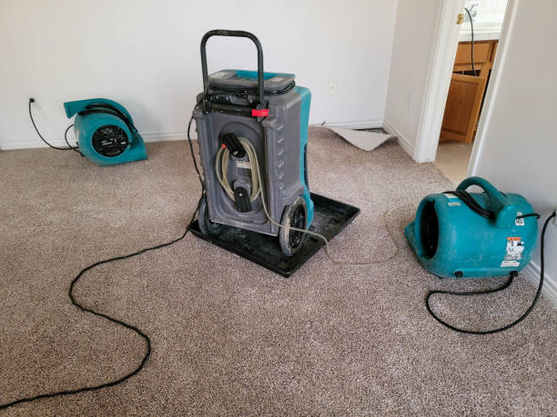 Best Commercial water damage restoration  in Waverly, MI