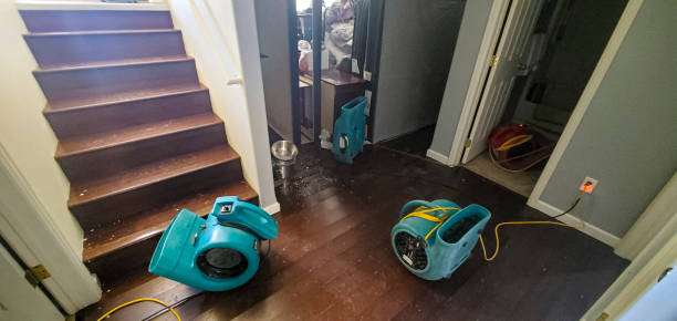 Best Water damage mitigation services  in Waverly, MI