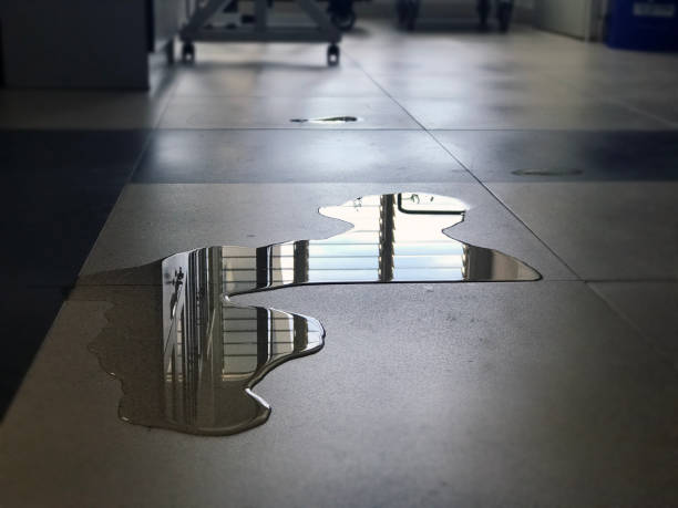 Best Carpet water damage restoration  in Waverly, MI