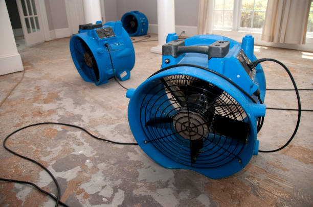 Carpet water damage restoration in MI
