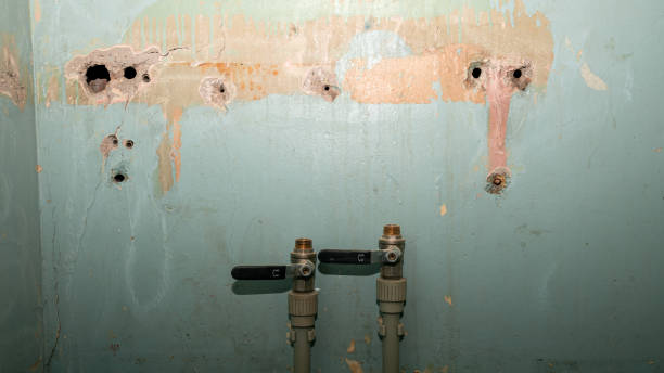 Best Ceiling water damage repair  in Waverly, MI