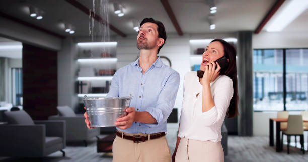 Best Water damage restoration specialists  in Waverly, MI