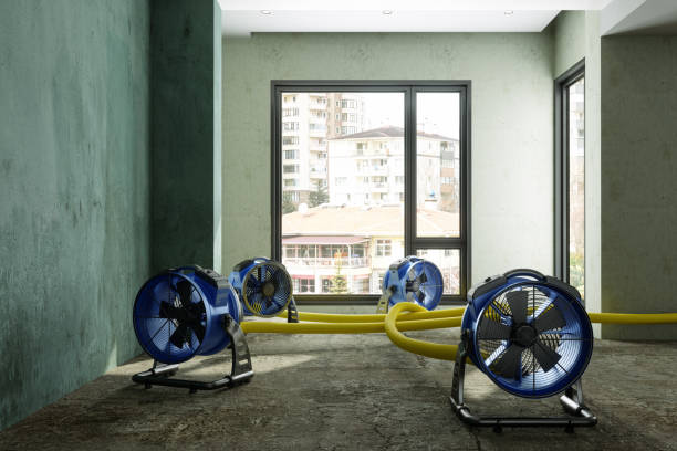 Best Flood restoration services  in Waverly, MI